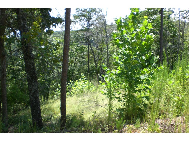 Image of Property